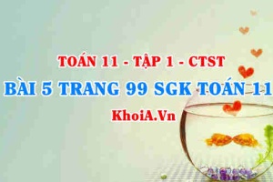 Bài 5 trang 99 SGK Toán 11 Tập 1 Chân trời sáng tạo